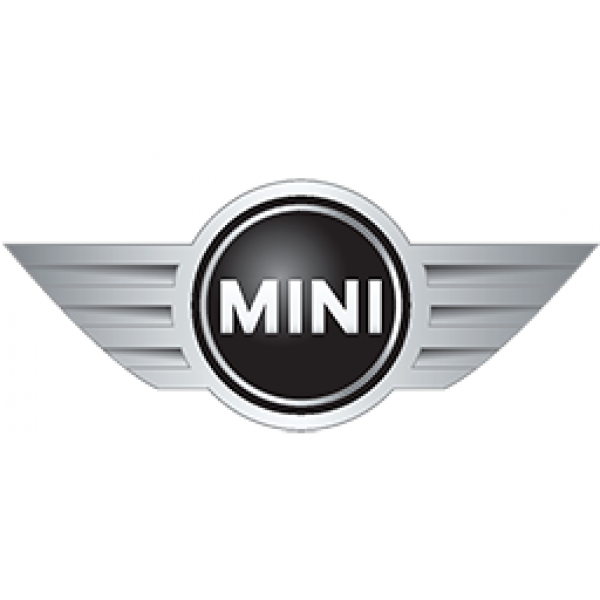 chiptuning Mini herprogrammering software Mini auto tuning