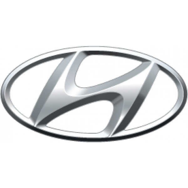 chiptuning Hyundai herprogrammering software Hyundai auto tuning