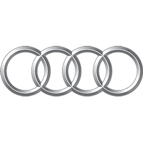 chiptuning Audi herprogrammering software Audi auto tuning