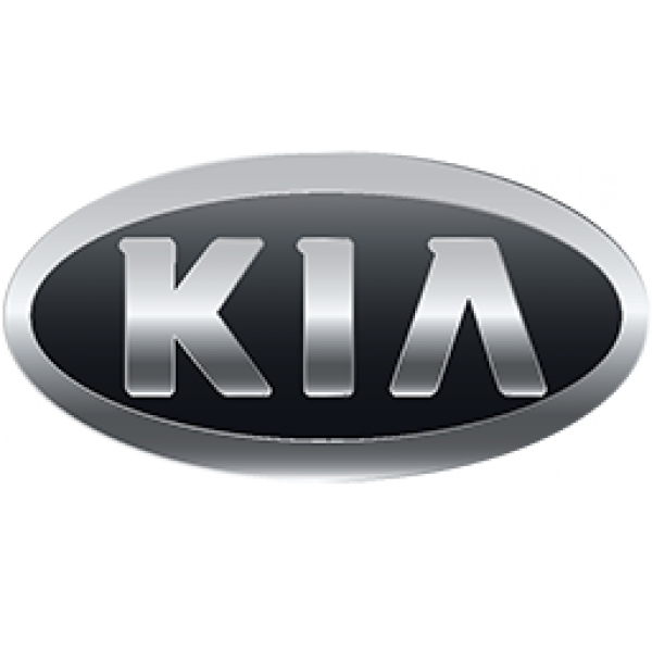 chiptuning Kia herprogrammering software Kia auto tuning